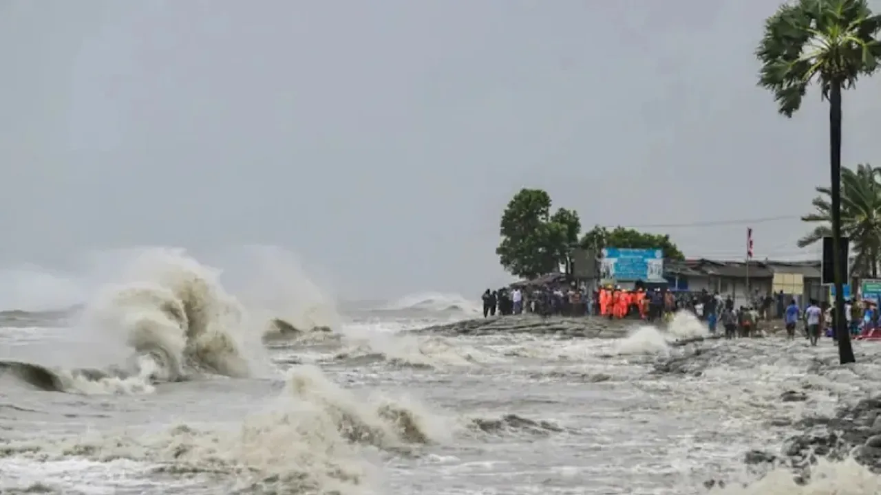 cyclone fangal update
