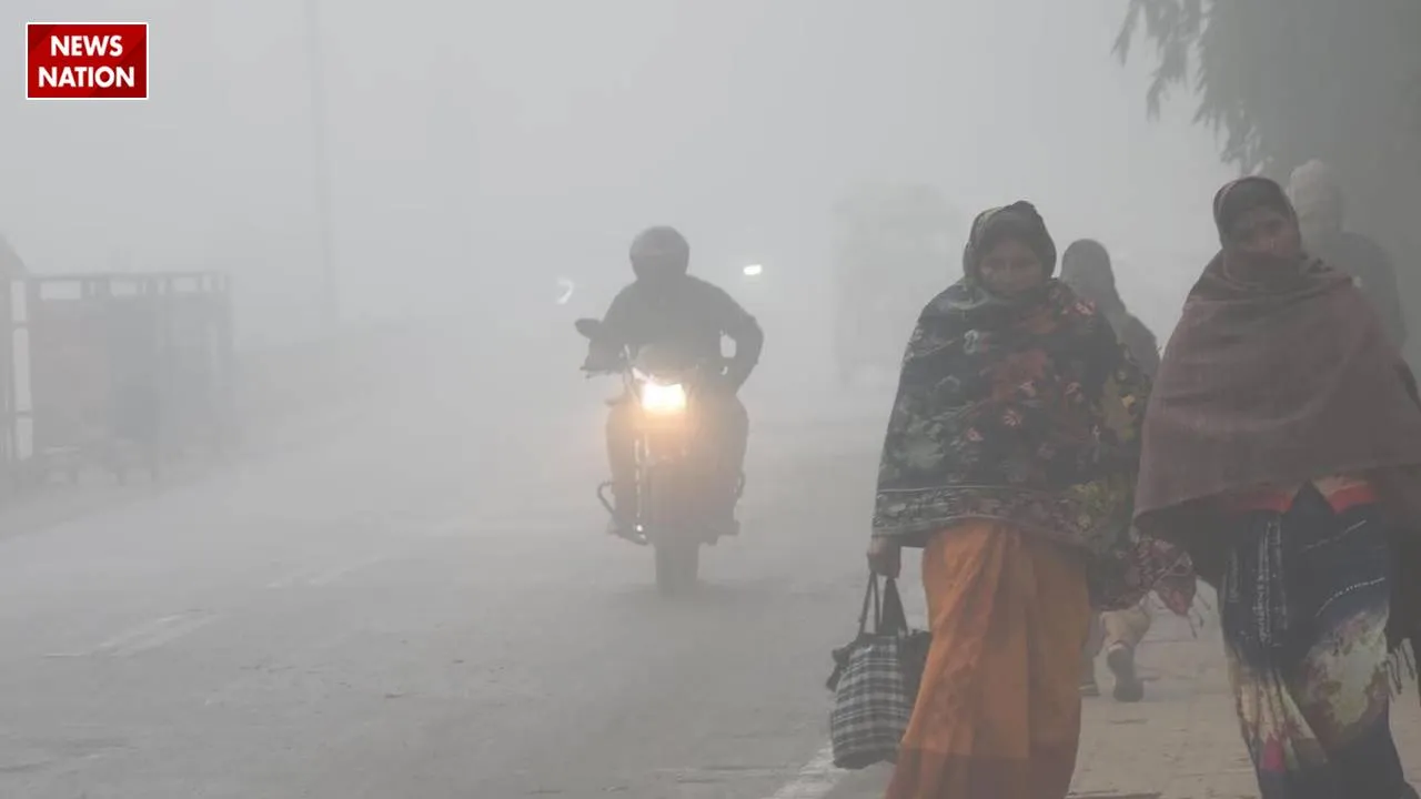 Weather Update in Hindi Coldwave in Delhi UP Snowfall in Hilly areas like Himachal and Kashmir