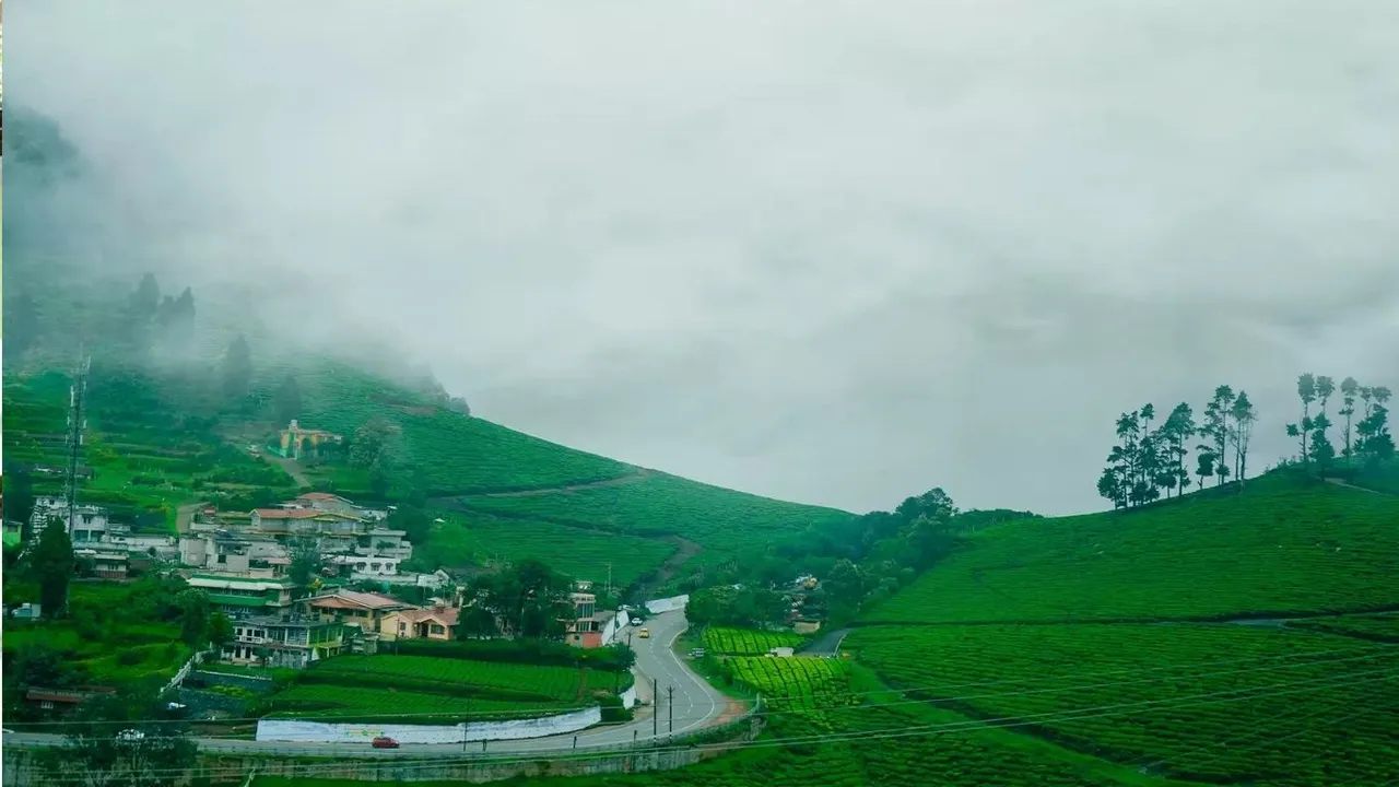 नैनीताल