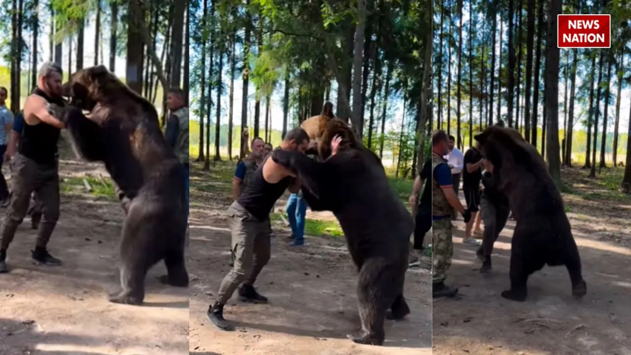 fight  young man bear viral video