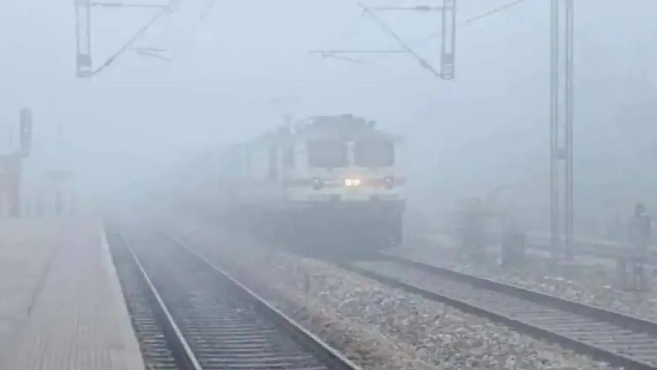 fog and train