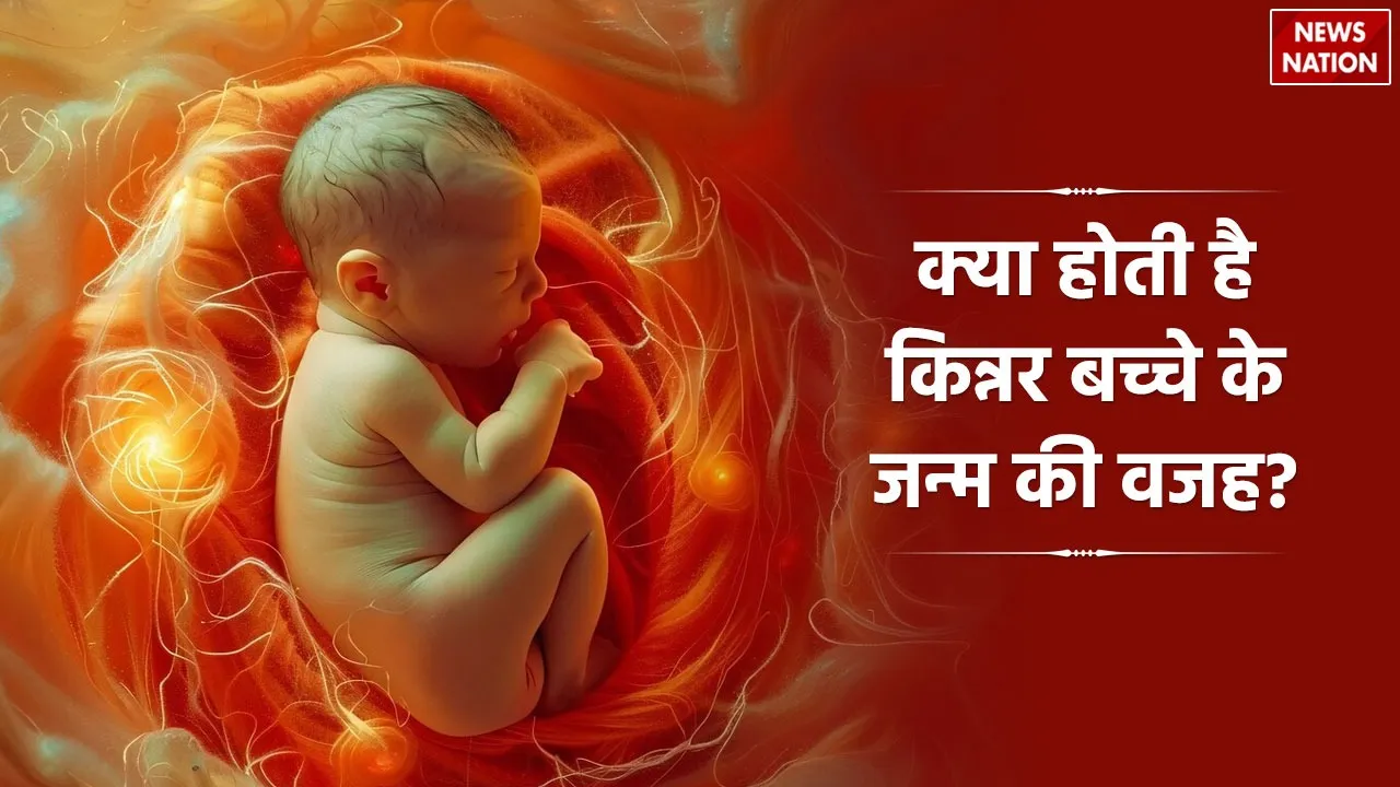 WhatsApp Image 2024-12-03 at 12.59.31 PM