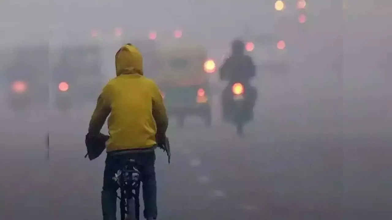 Weather News Update
