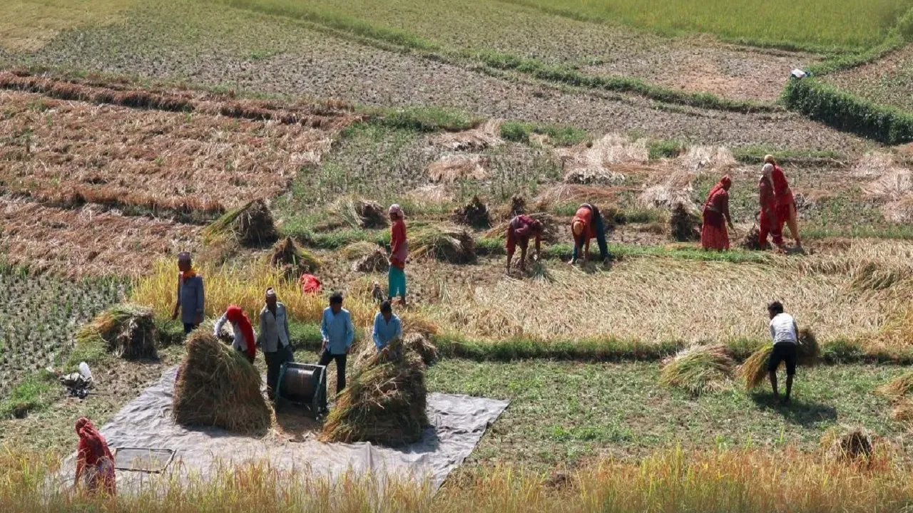latur farmer