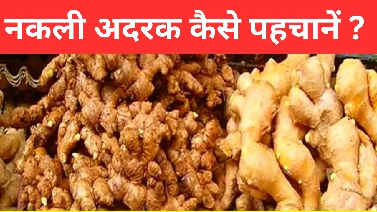 नकली अदरक कैसे पहचानें  