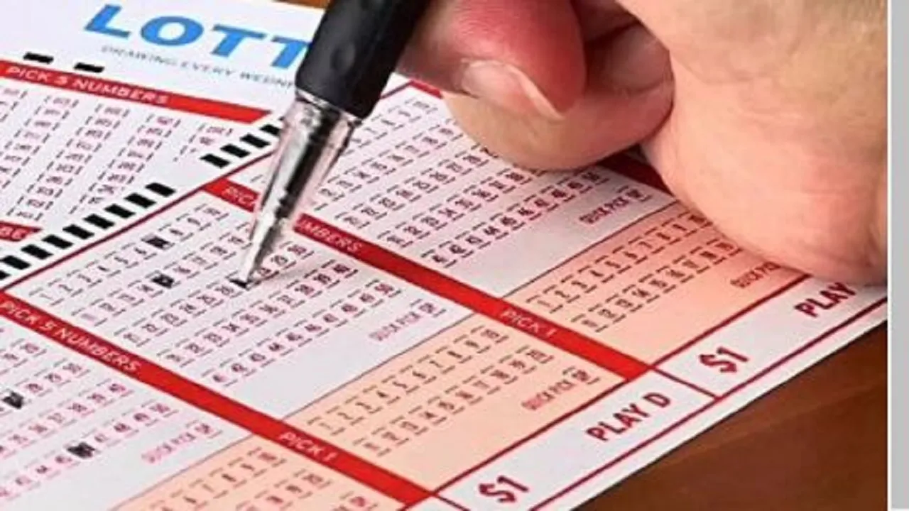 nagaland lottery