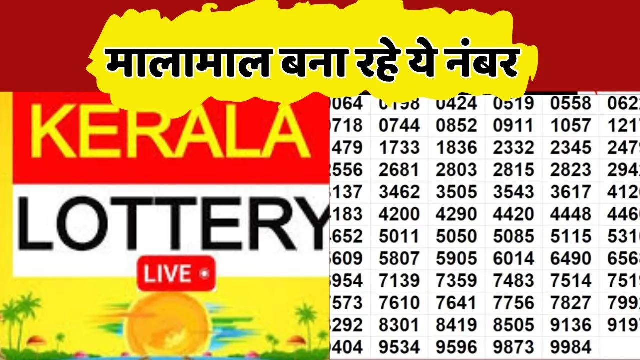 Kerala Lottery Win Win W 799 Result Out