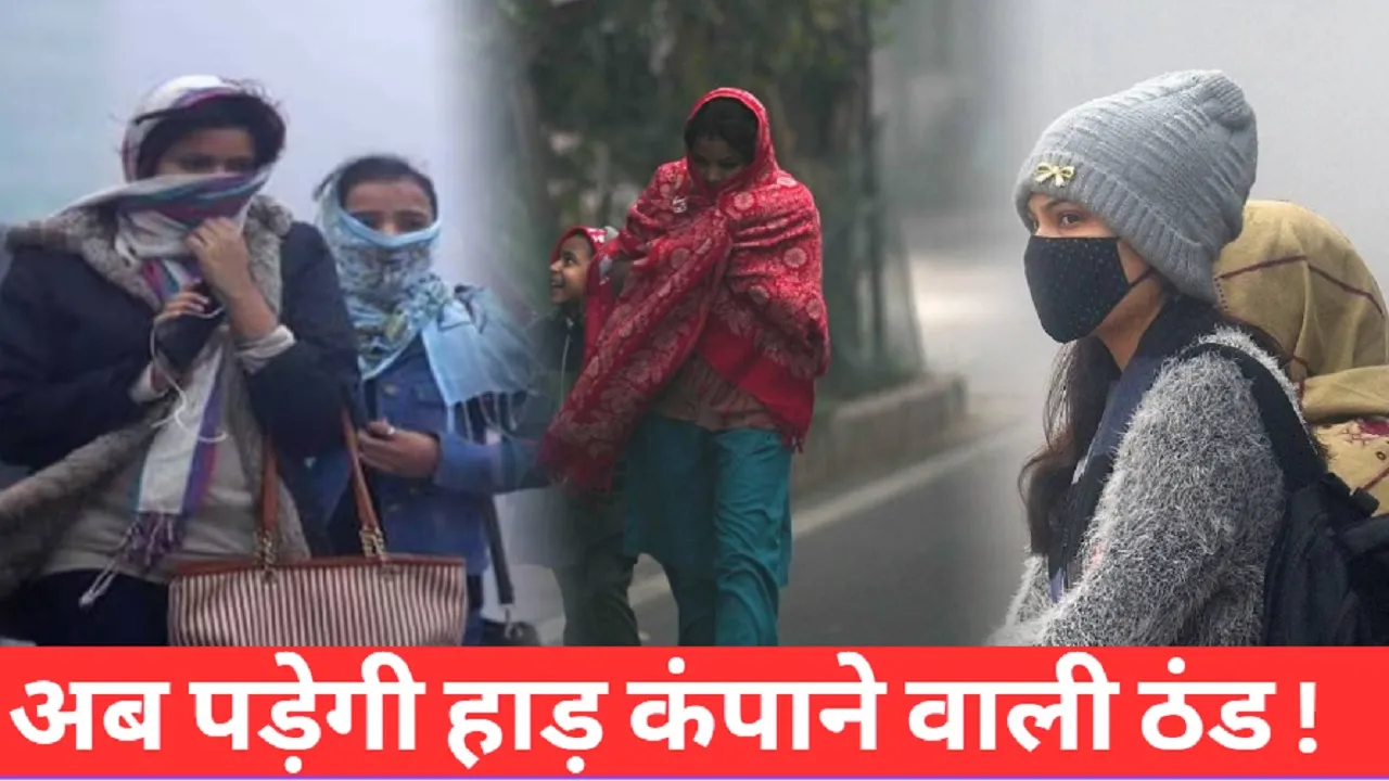 Delhi Cold Weather News