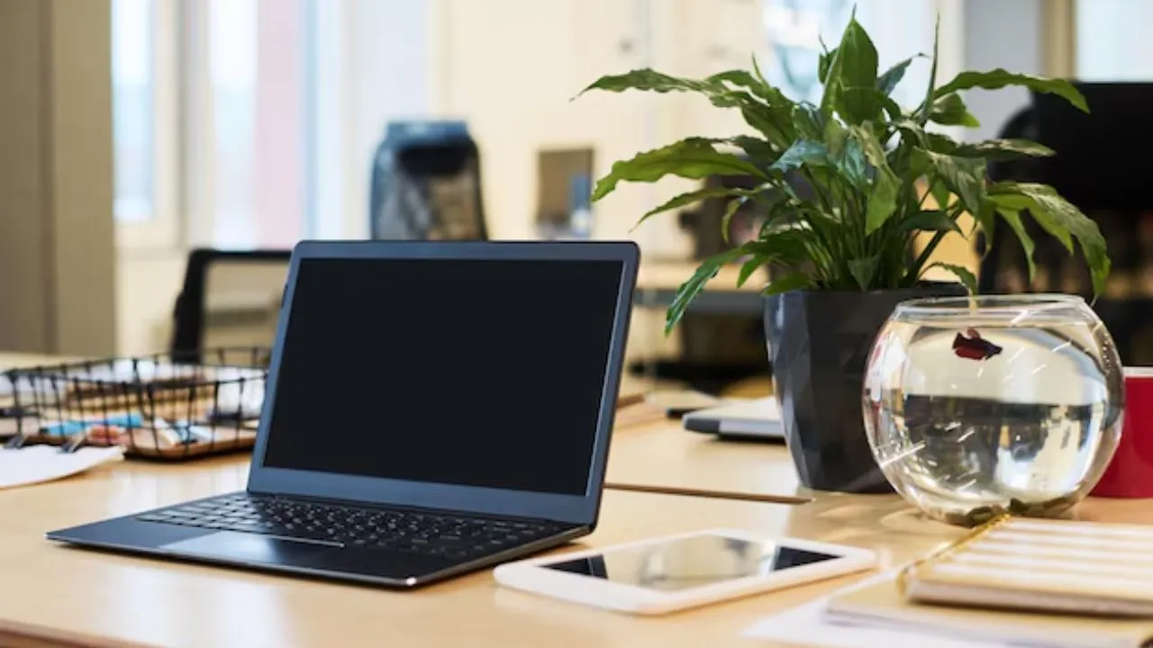 Which laptop is good in quality