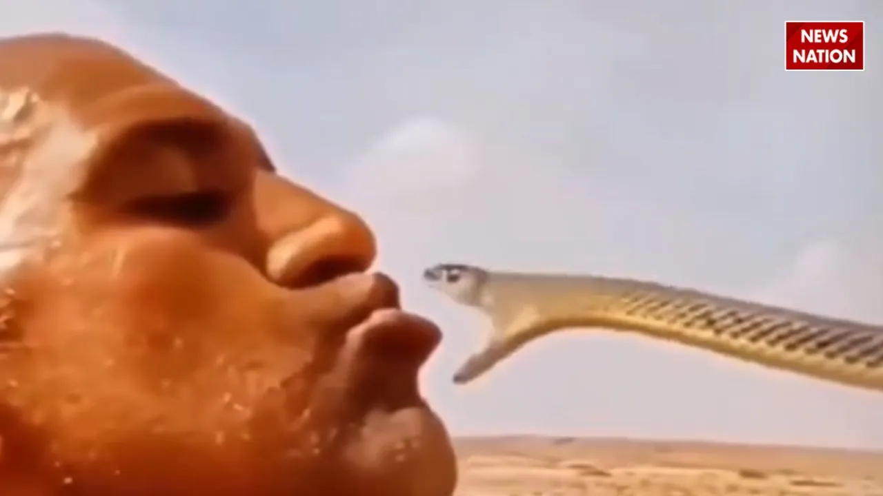snake tore the man's face