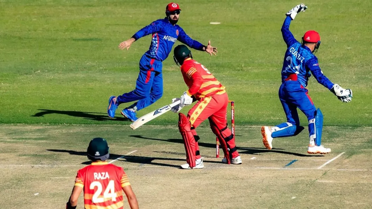 ZIM vs AFG