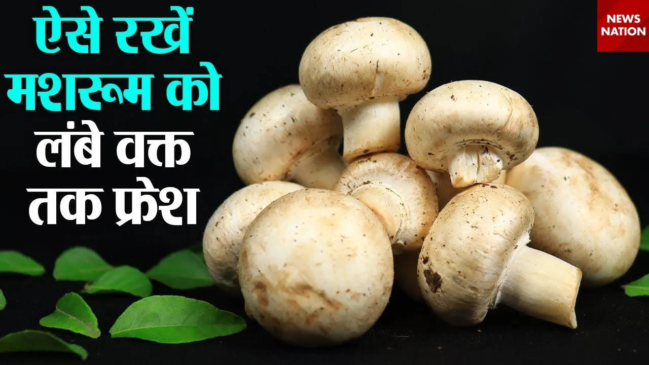 How to store mushrooms