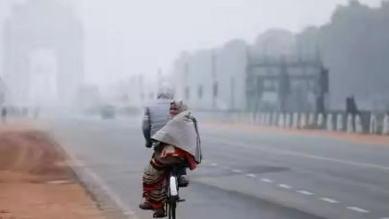 cold wave in delhi