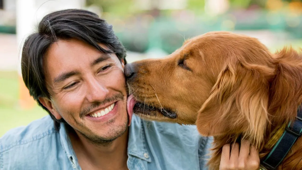 dog 4