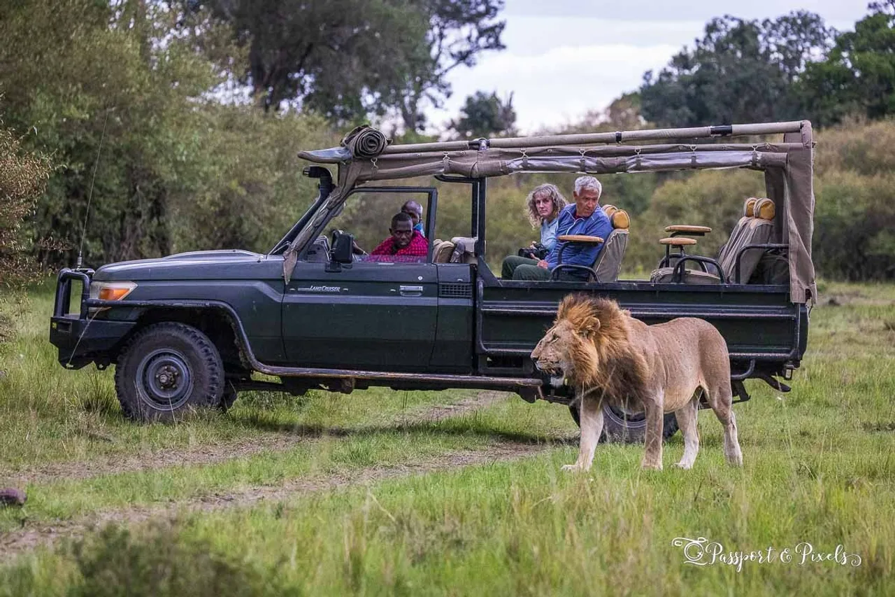 kenya safari