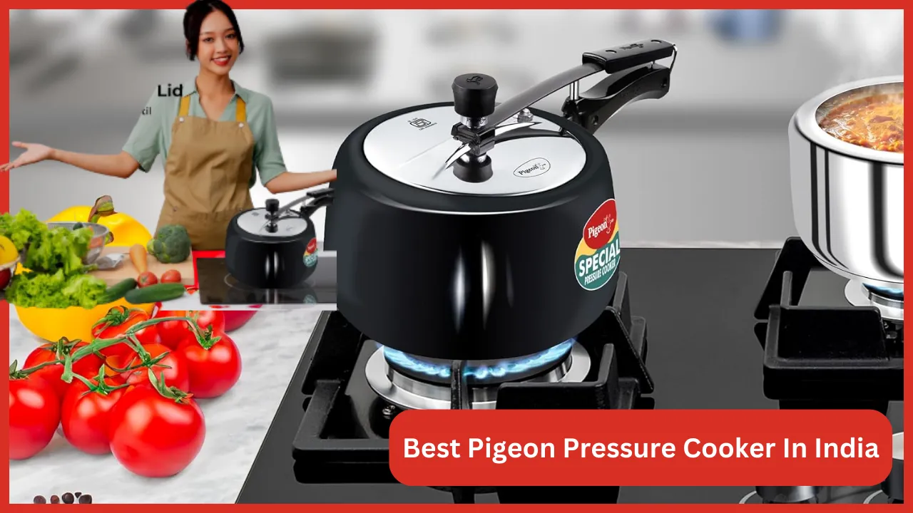 Best Pigeon Pressure Cooker In India
