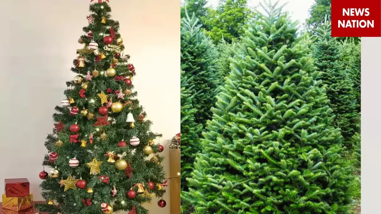 Merry Christmas 2