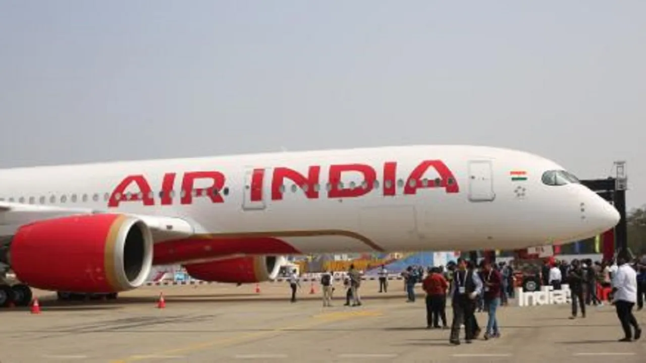 air india flight land delhi