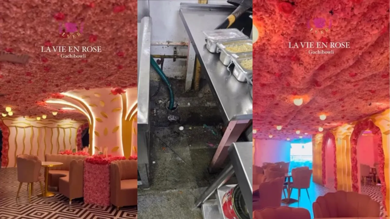 La Vie En Rose Cafe Food Hygiene Viral