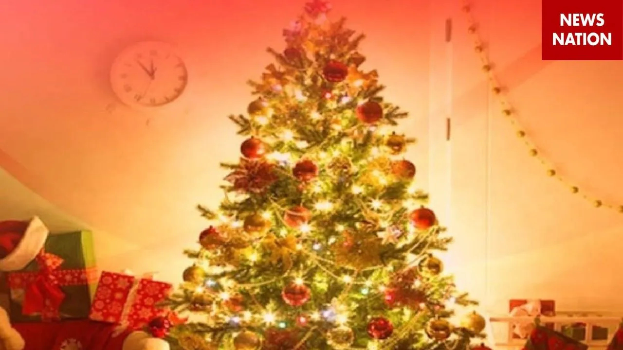 Merry Christmas 5
