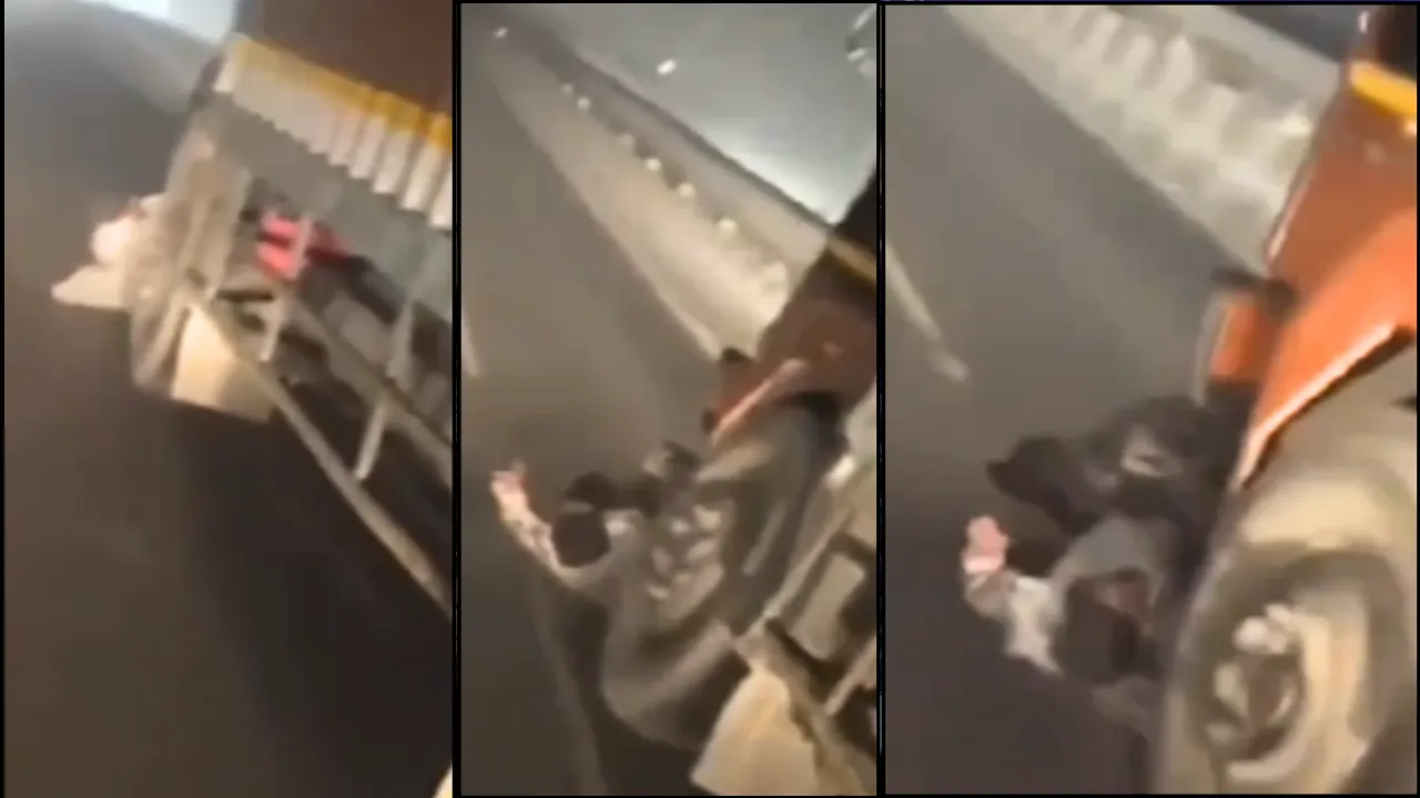 viral video 