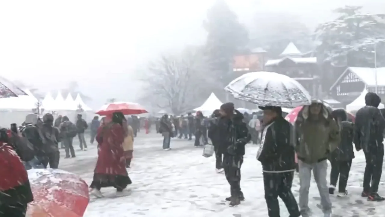 Shimla Snowfall