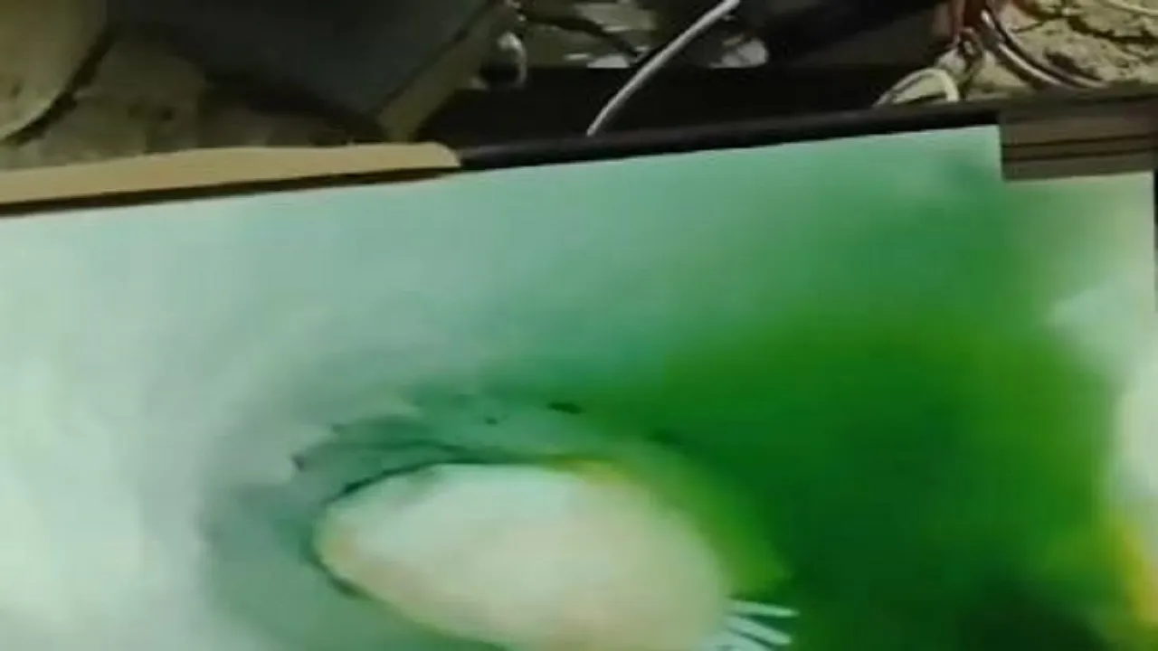 cctv footage of girl