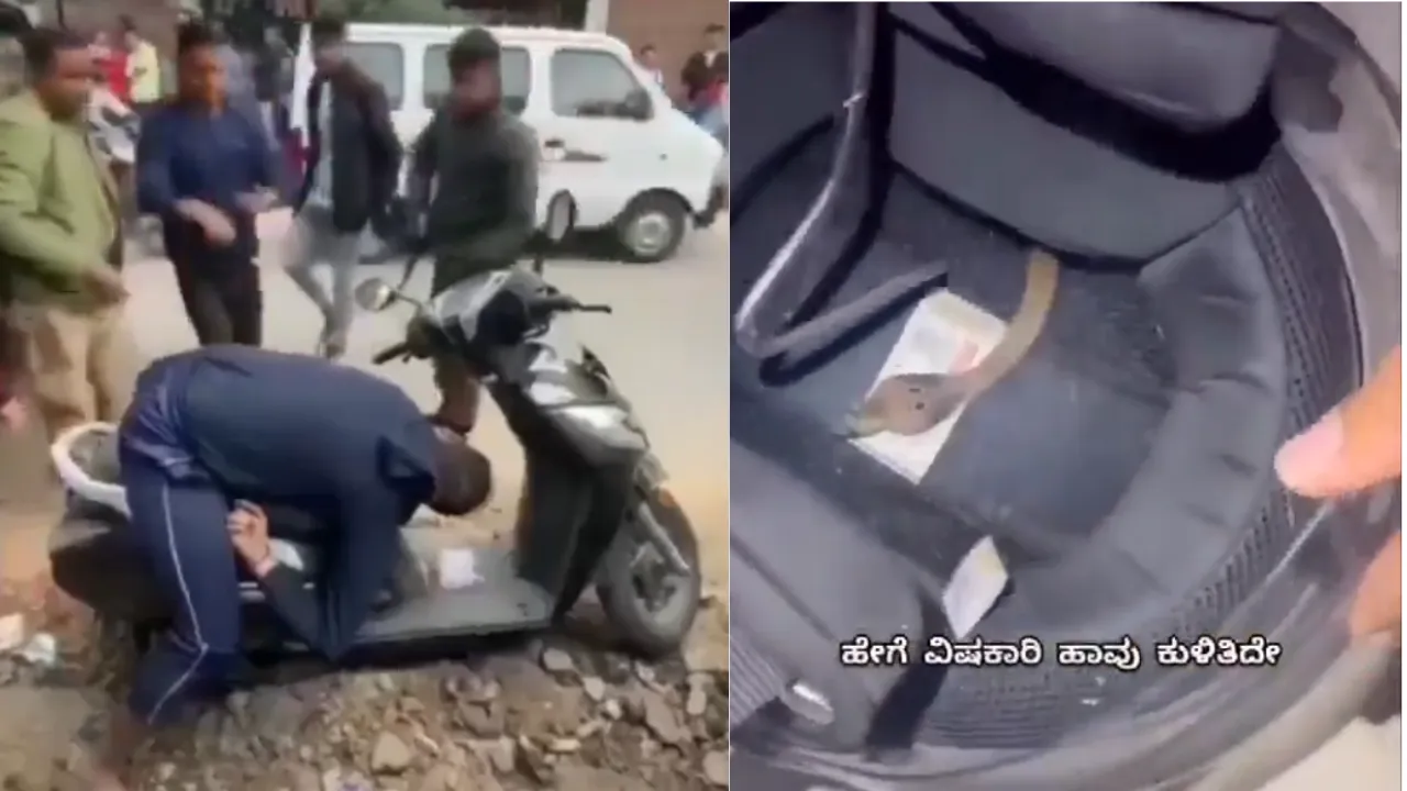 Viral video cobra baby