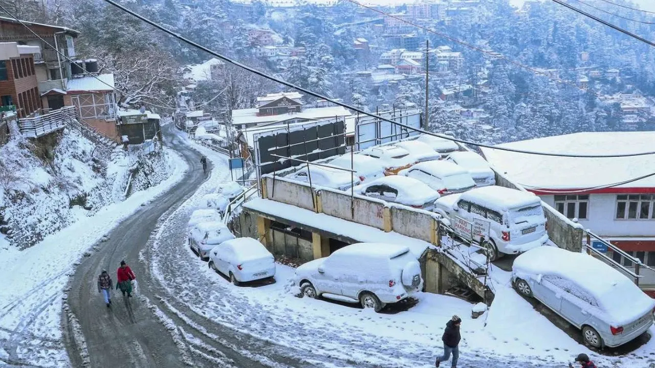 weather in shimla