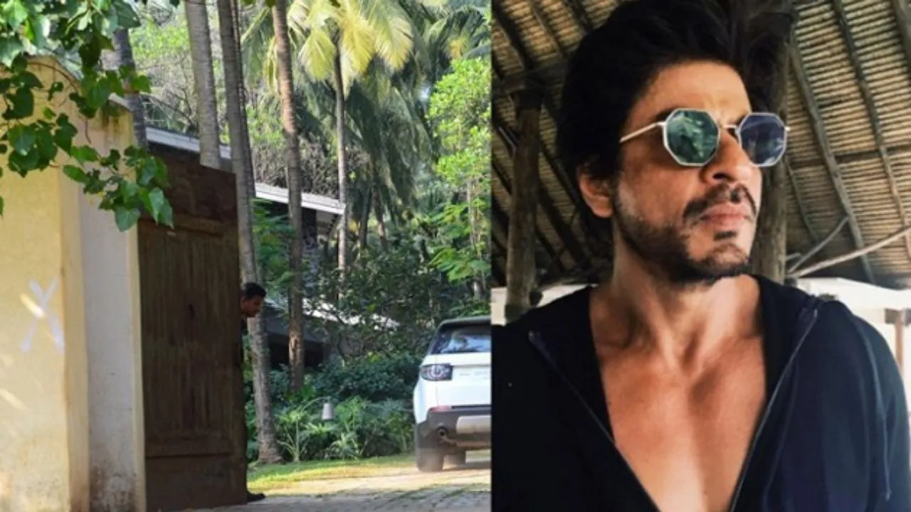srk8
