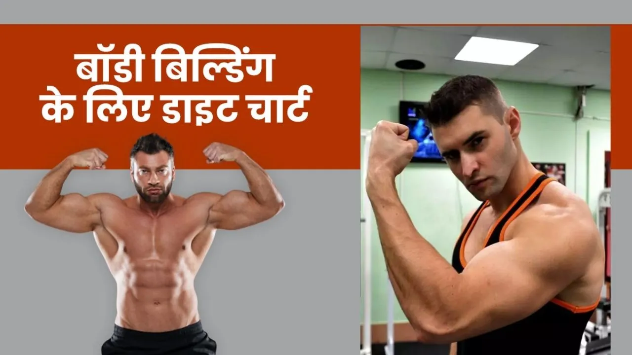 High Protein Foods For Bodybuilding