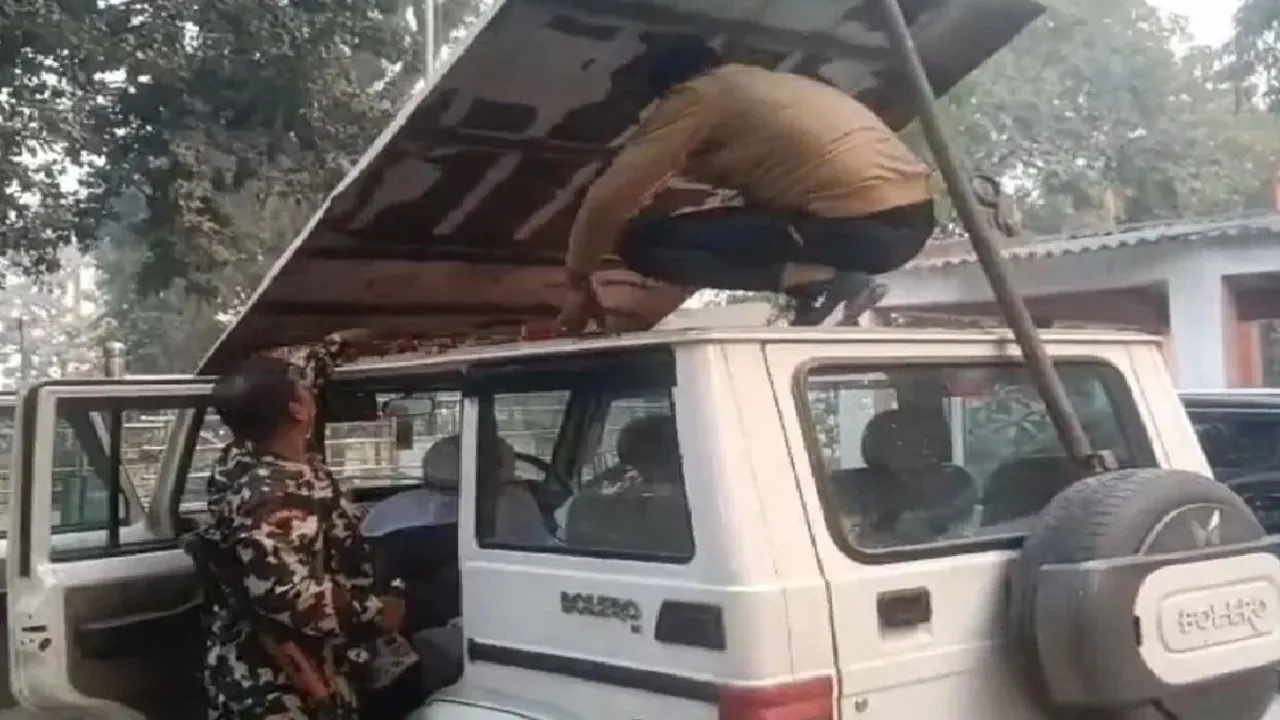 liquor smuggling