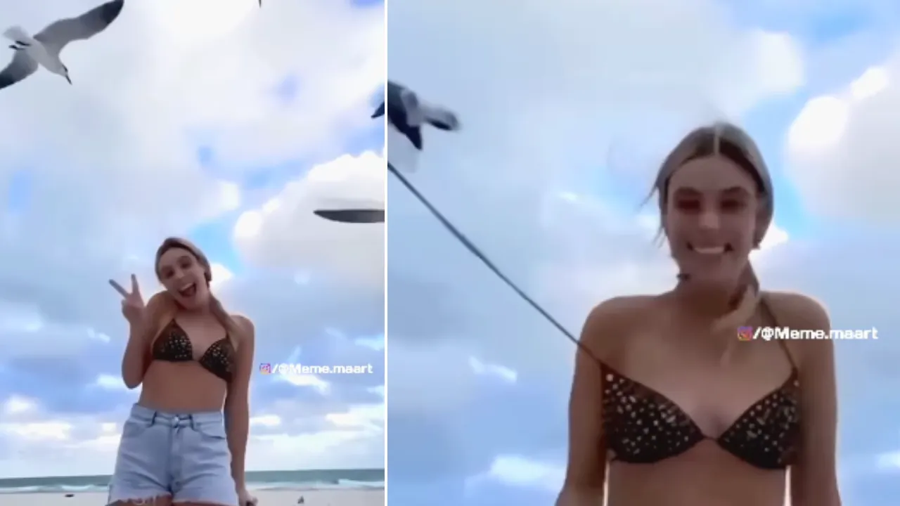 viral funny video