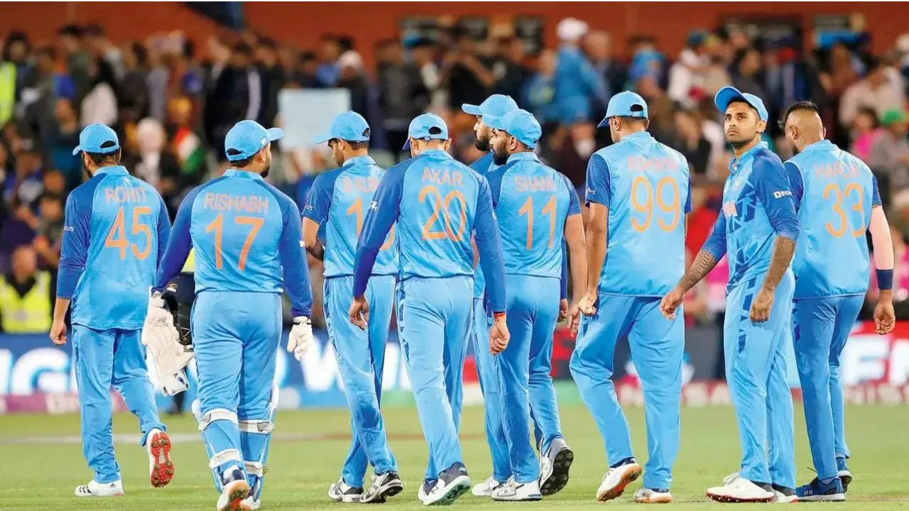 indian cricket team 2024 performance review