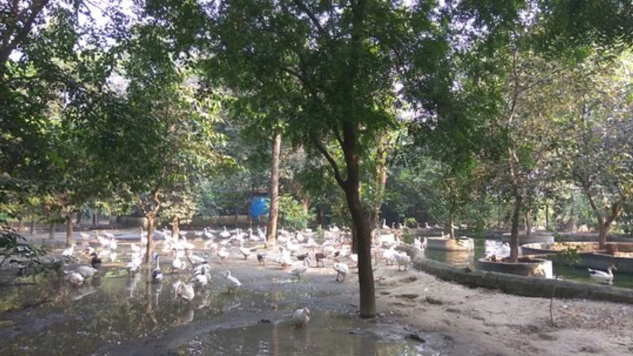 Nainital 5