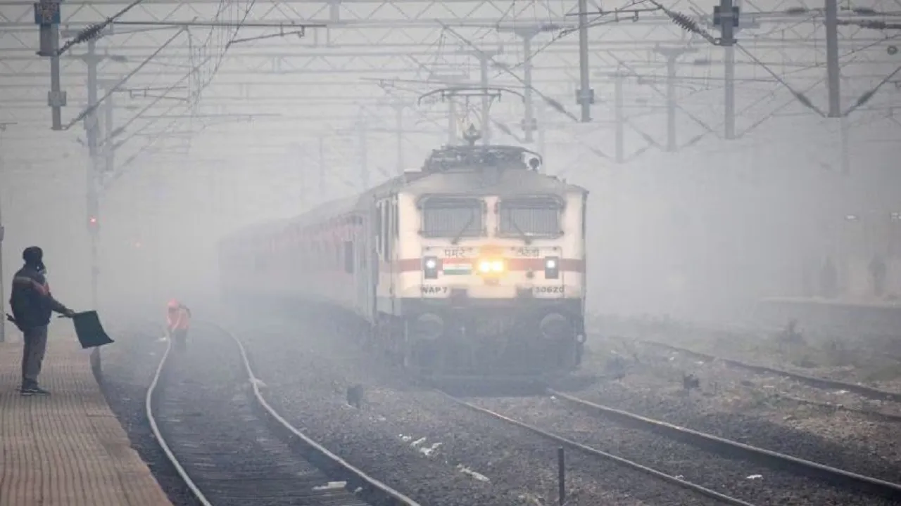 Dense for in Delhi NCR