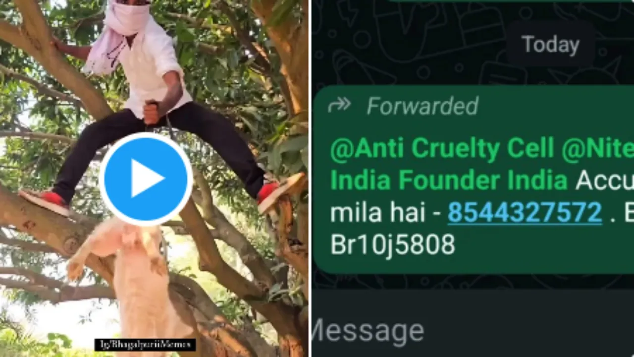 Bihar viral video