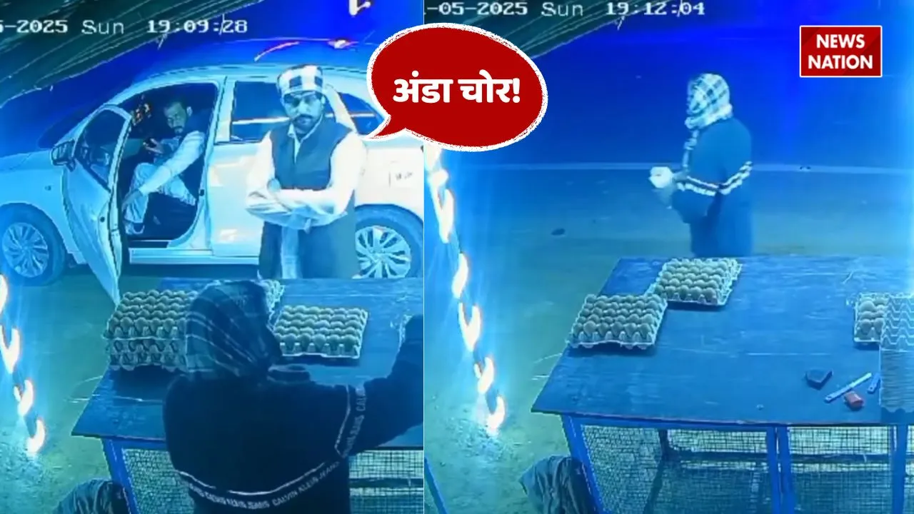 viral egg theft