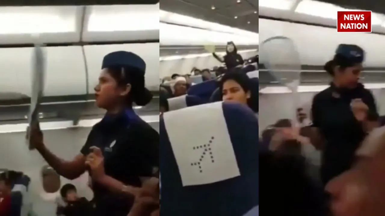 Viral Video Indigo Airlines Mosquitoes
