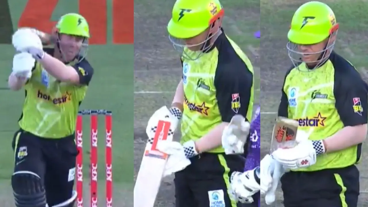 David Warner