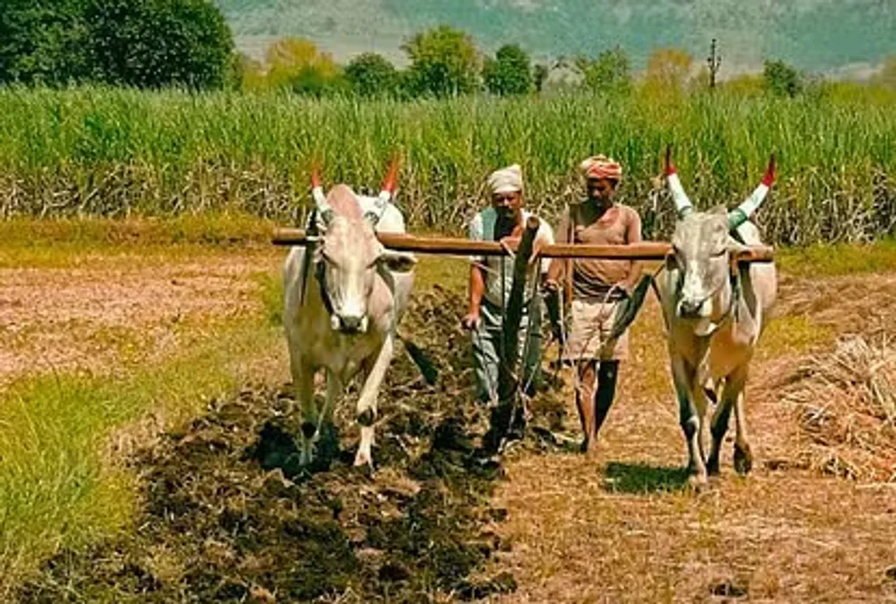 hariyana beema yojna