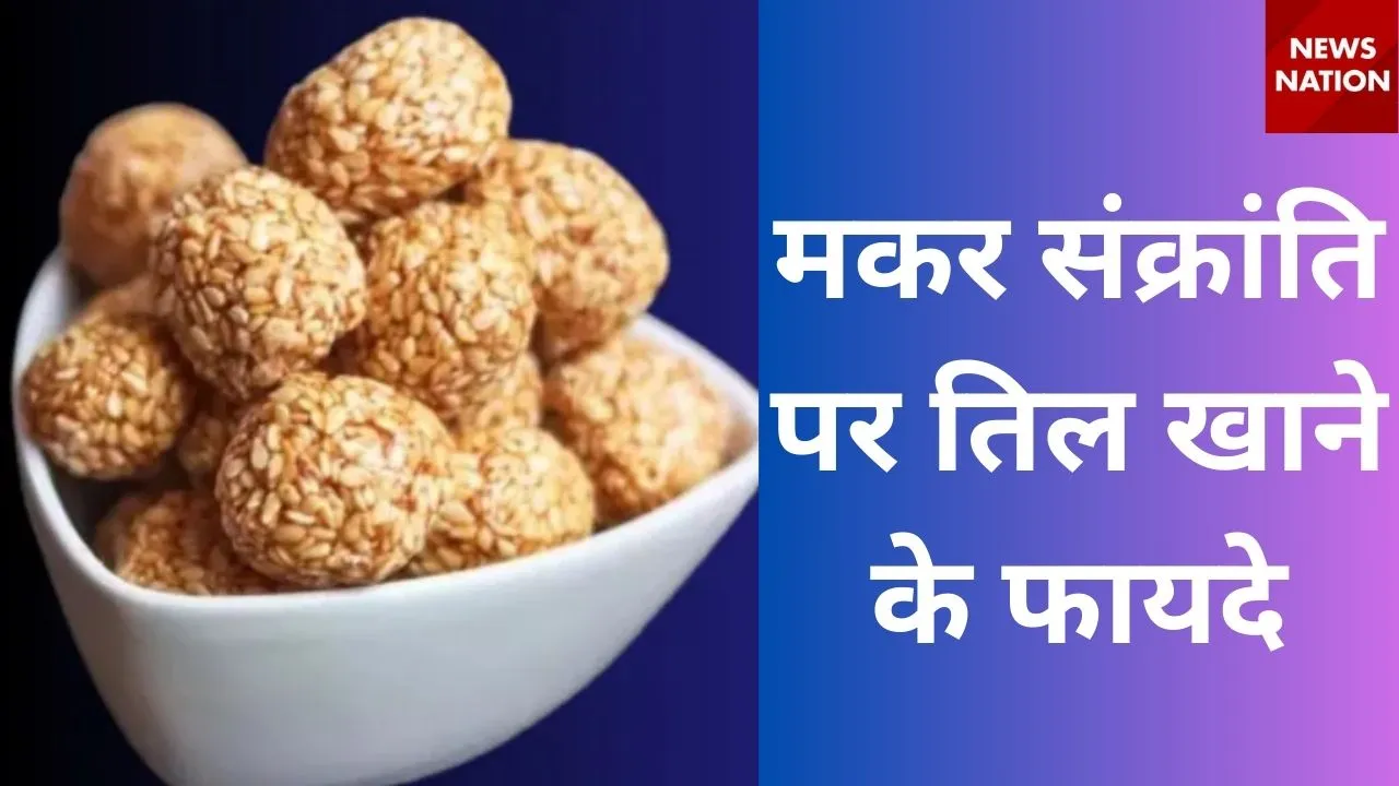 Makar Sankranti 2025 (1)