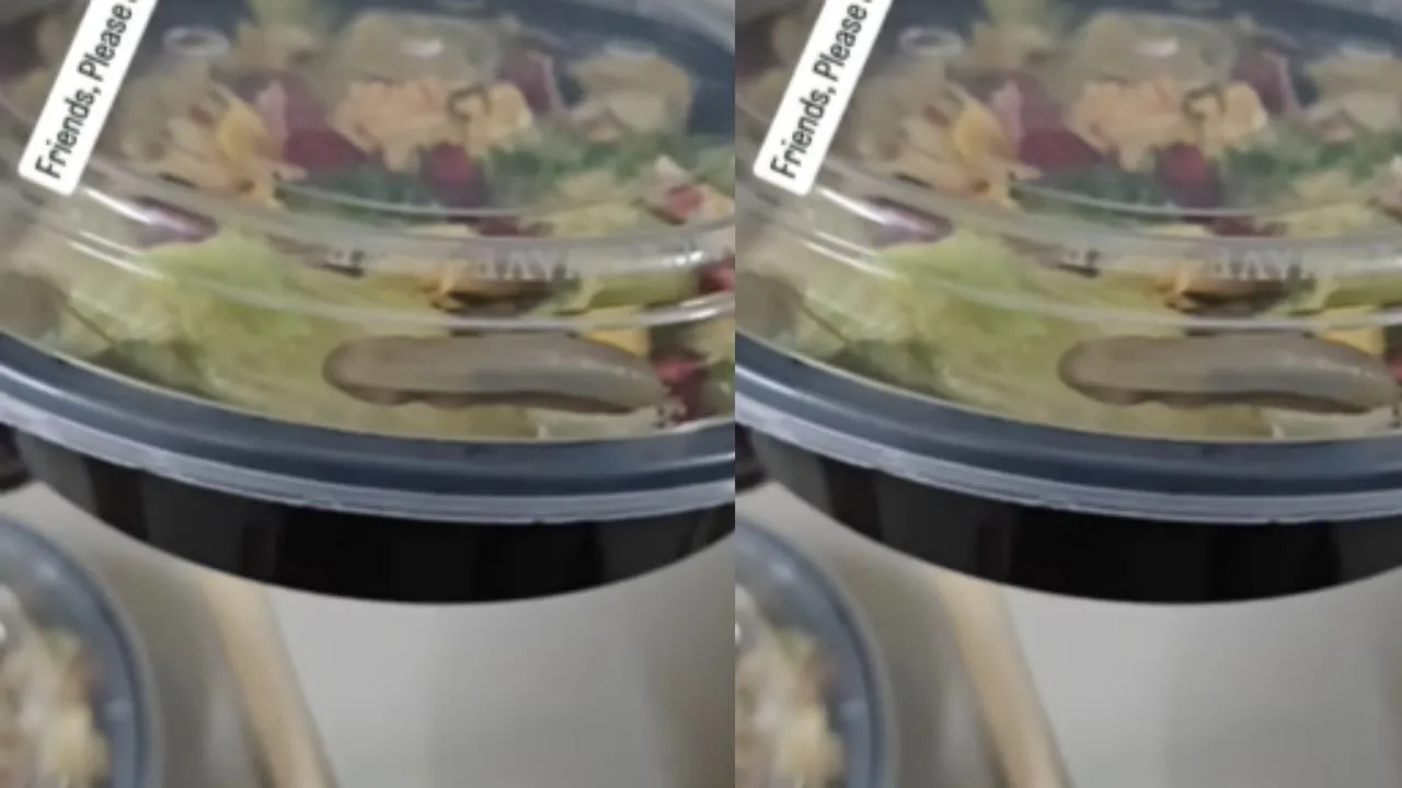 Earthworm online food viral video