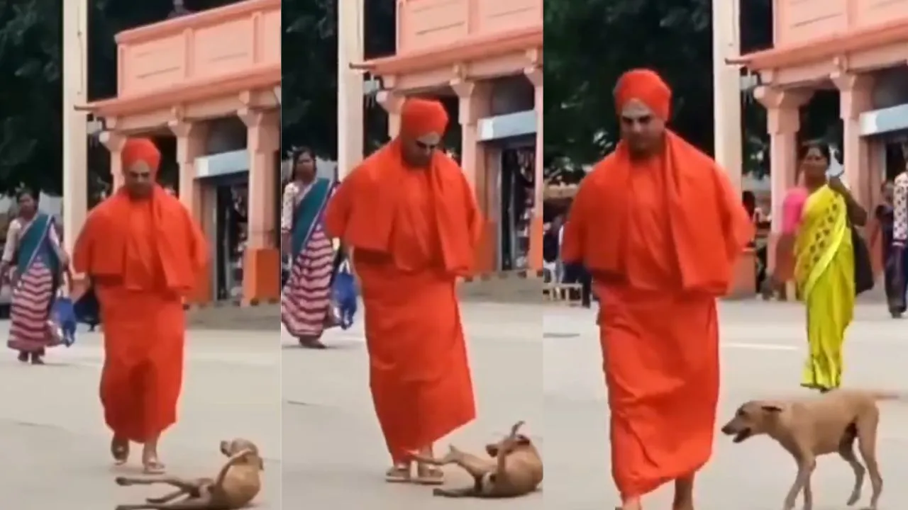 viral baba and dog video