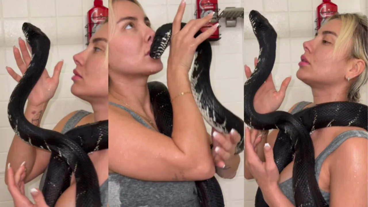 Viral snake video news