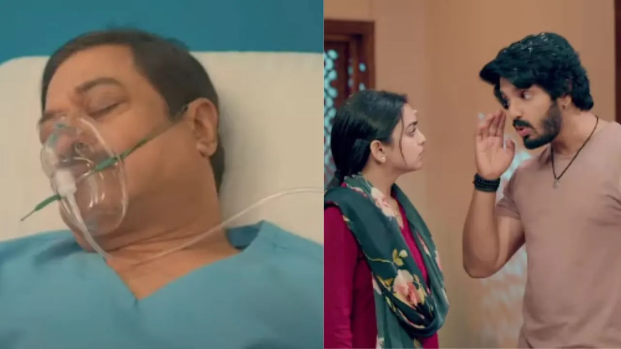 उड़ने की आशा