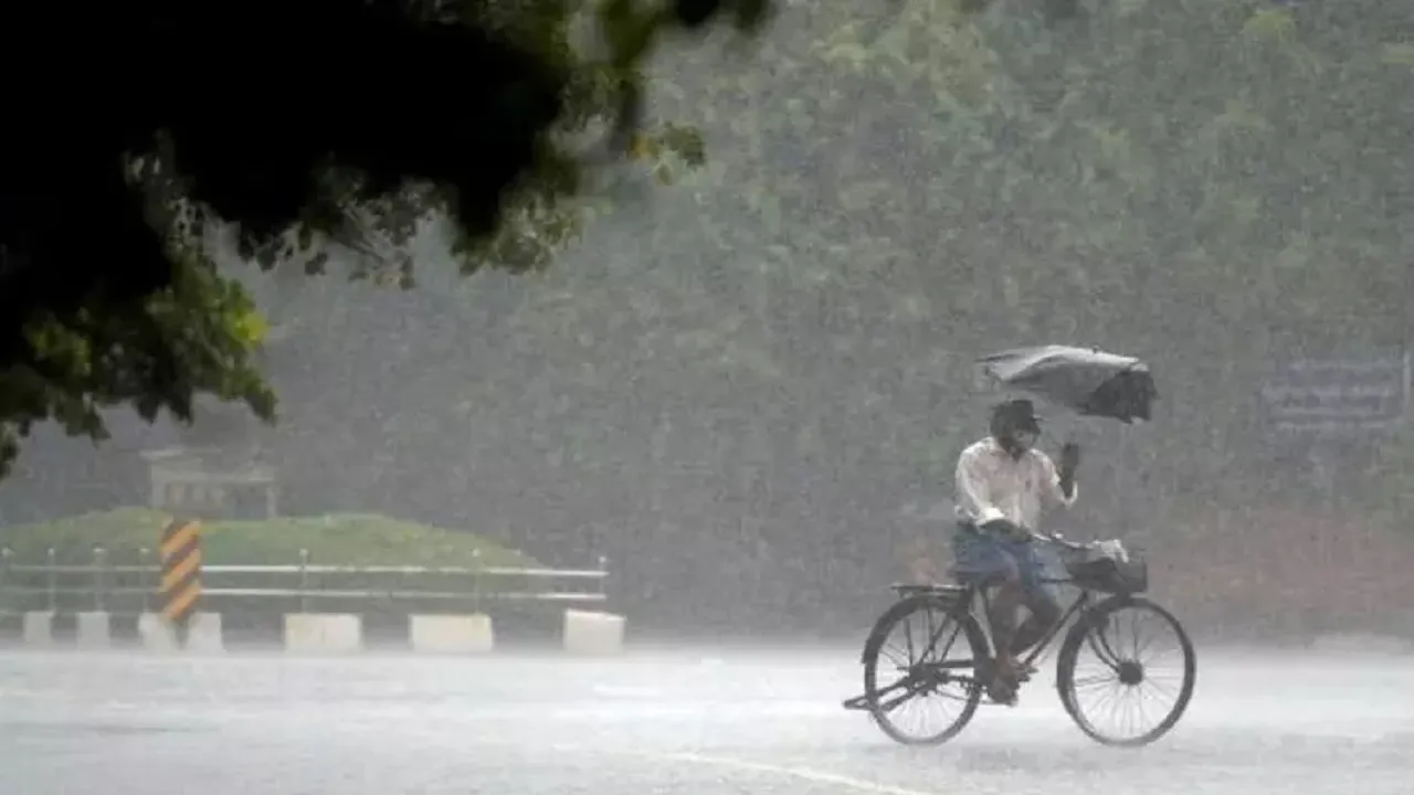 Rain Alert 22 January