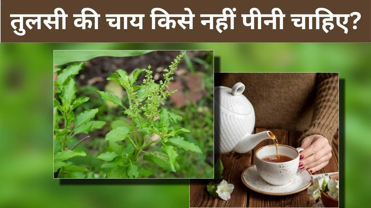 Tulsi Chai