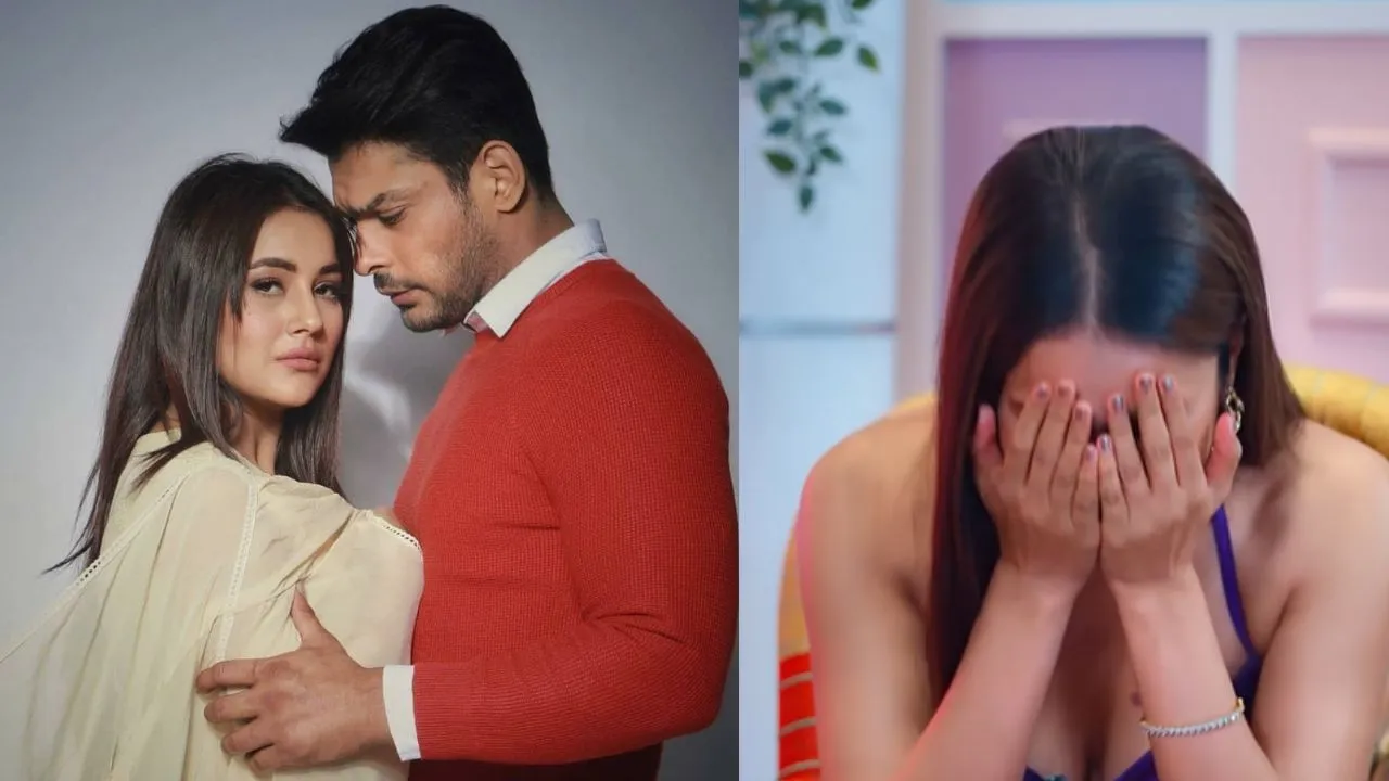 Shehnaaz (1)