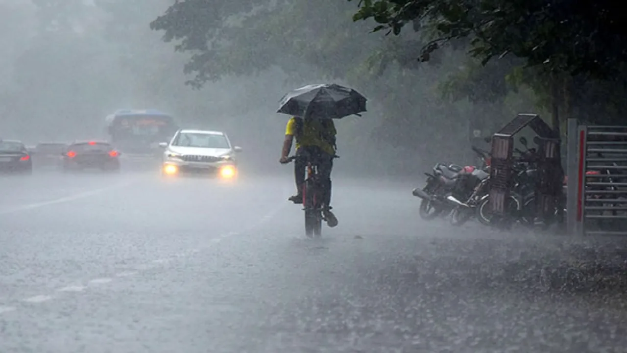 IMD Rain Alert 28 January